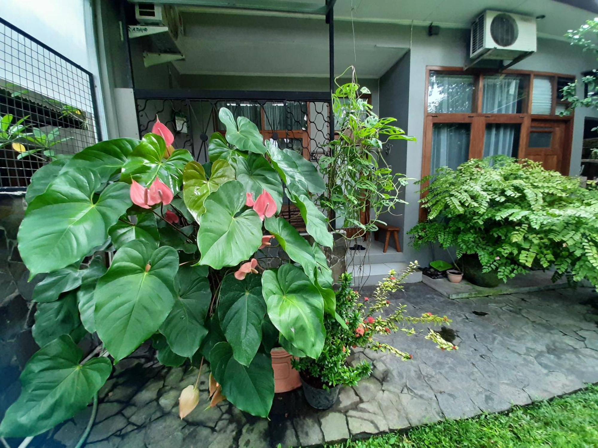 Rumah566 Yogyakarta Exterior foto